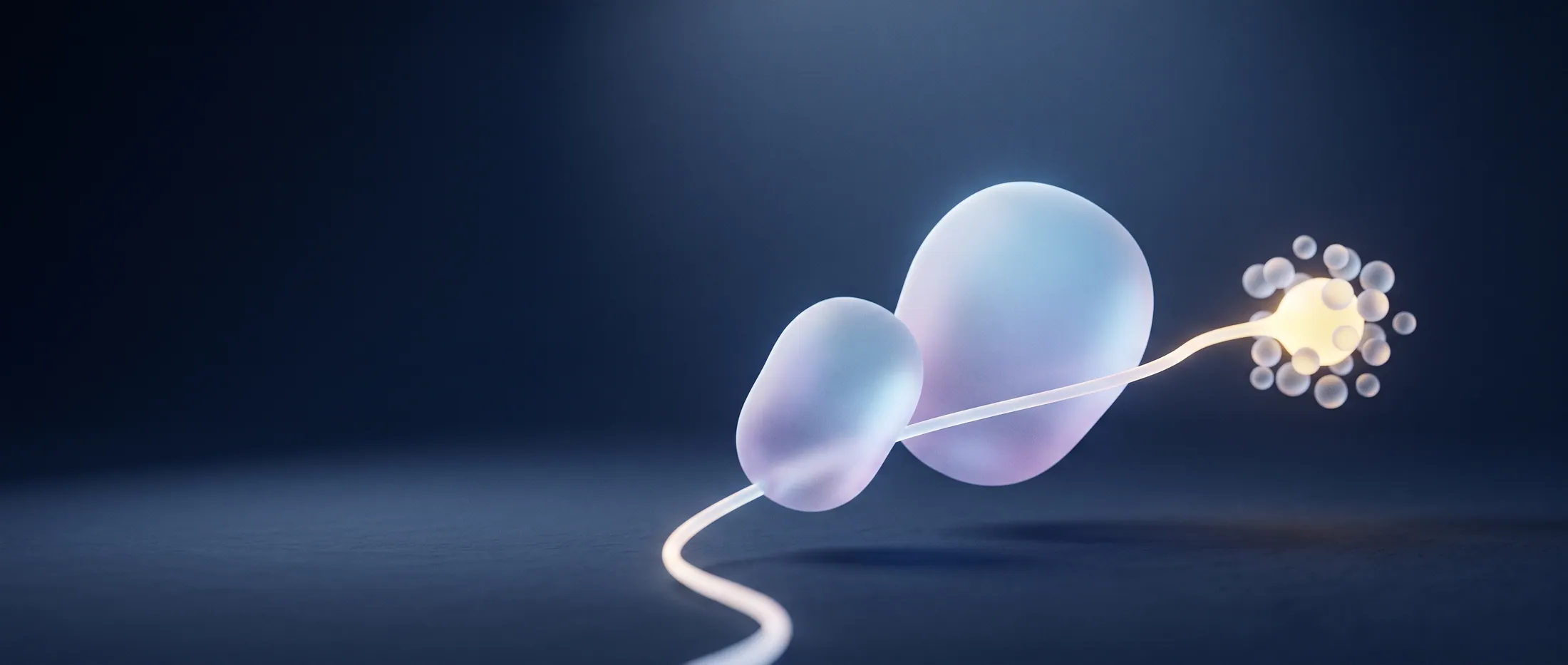 Two frosted-glass forms travelling along a glowing thread, the larger one guiding the smaller